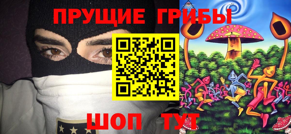 A PVP Шебекино